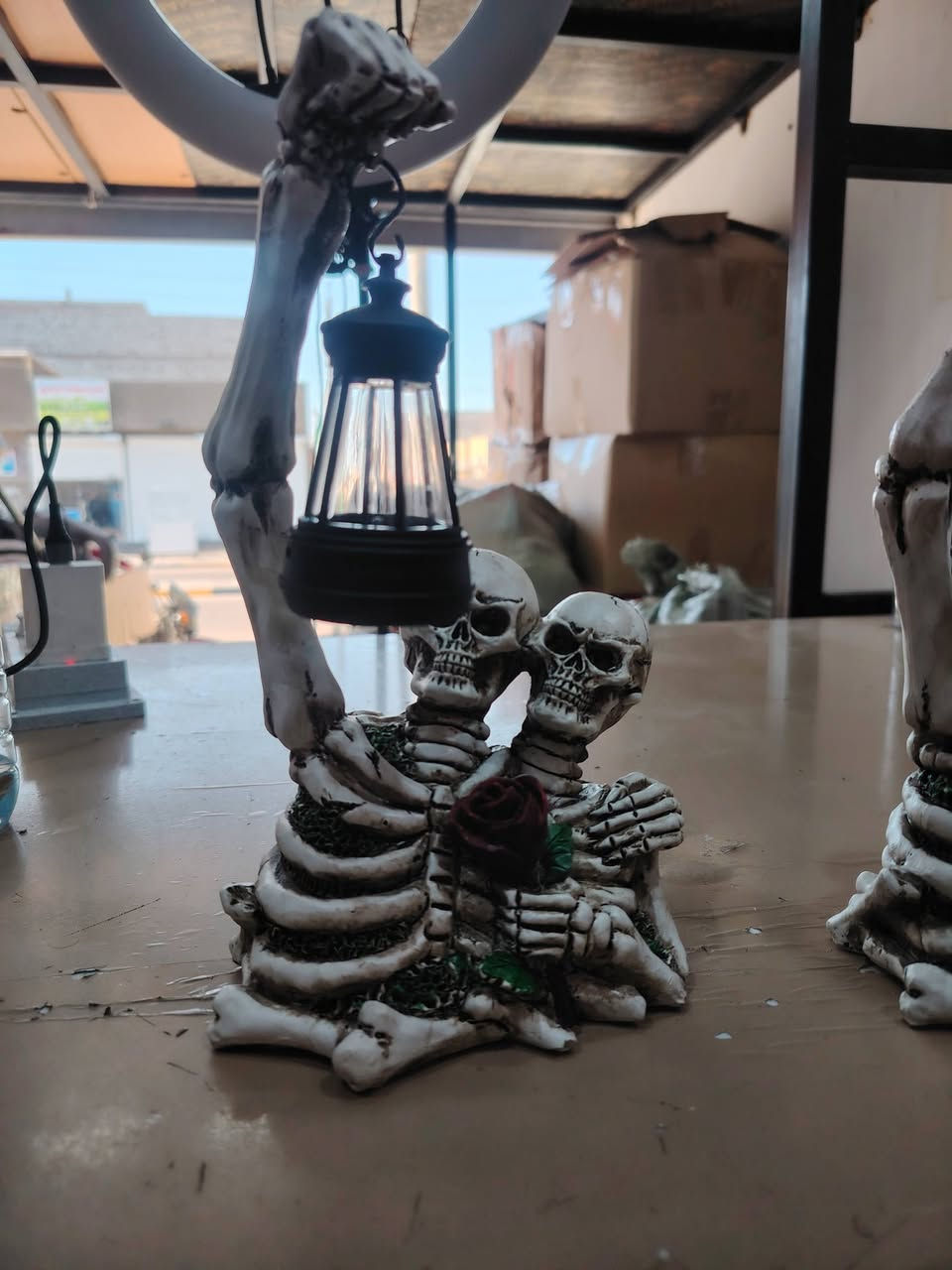 هياكل عظميه عدد 2 خلي سعرك بلعافيه عليك


**إذا كنت صاحب هذا الإعلان وتريد حذفه لأي سبب، رجاءا أرسل رسالة إلى الدعم الفني**