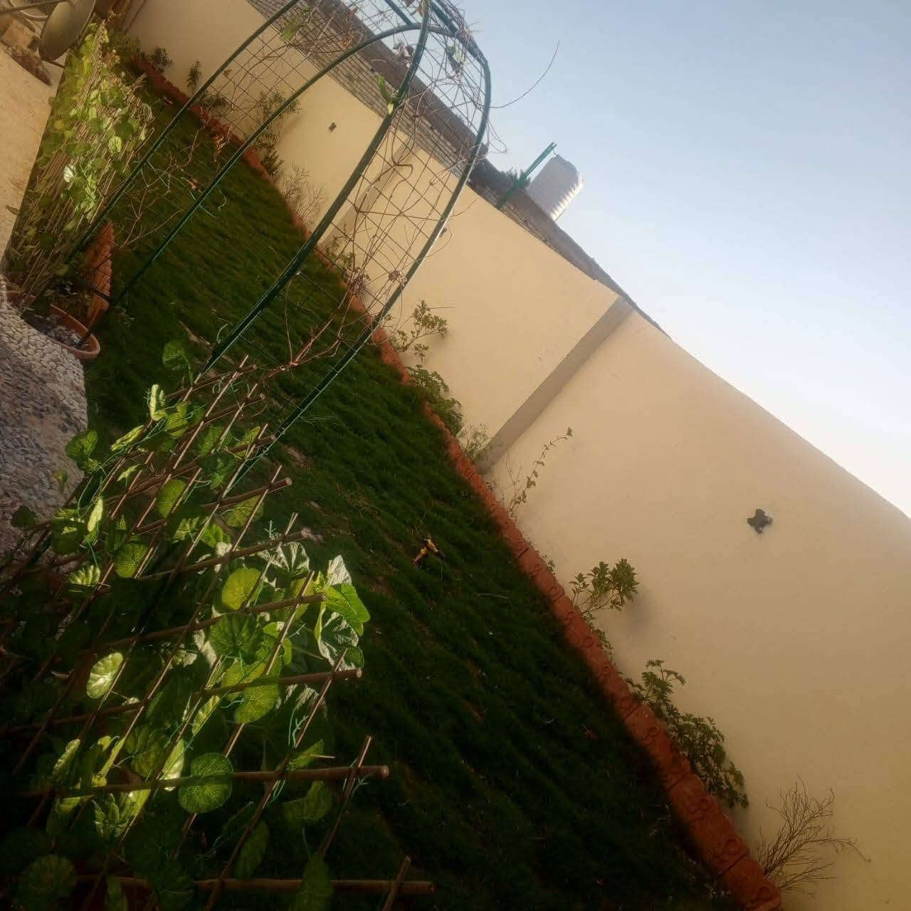 بيت للبيع زراعي 117
المساحة 250 بناء جديد  4 غرف
الطابق الاول 2 غرف + صالة + استقبال + مطبخ + حمام 
الطابق الثاني 2 غرف + صالة + حمام 
مكاني بغداد المدائن مقابيل قاعة اوسكار
للاستفسار ‏ *********** ‏ واتساب
