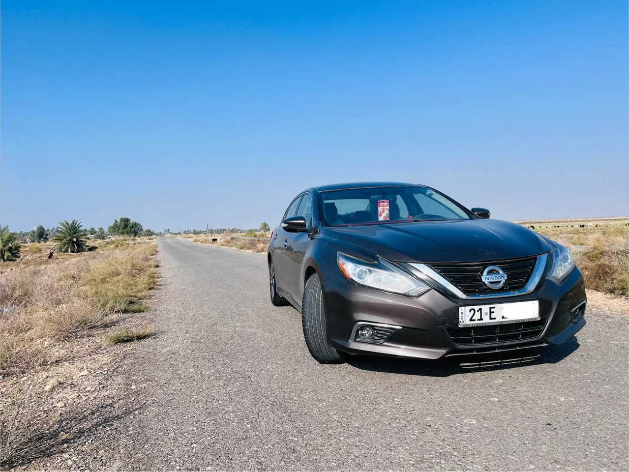 نيسان التما م١٧ مواصفات فول عدا الفتحه 
تايرات ٤ جدد  كير مكينه كفاله 
تبريد تدفئه. فول 
رقم سليمانيه الدولي تحويل شوكت ما يعجبك 
رادار شغال . ويل كب 
جاهزه ع آخر حبابه 
 طرزها جامرلغ امامي وبنيد. ضرر سطحي 
سعرها ١٢٧ وبيها مجال للطيبين  
مكانها ديالى شهربان 
 *********** المقدادية, ديالى
