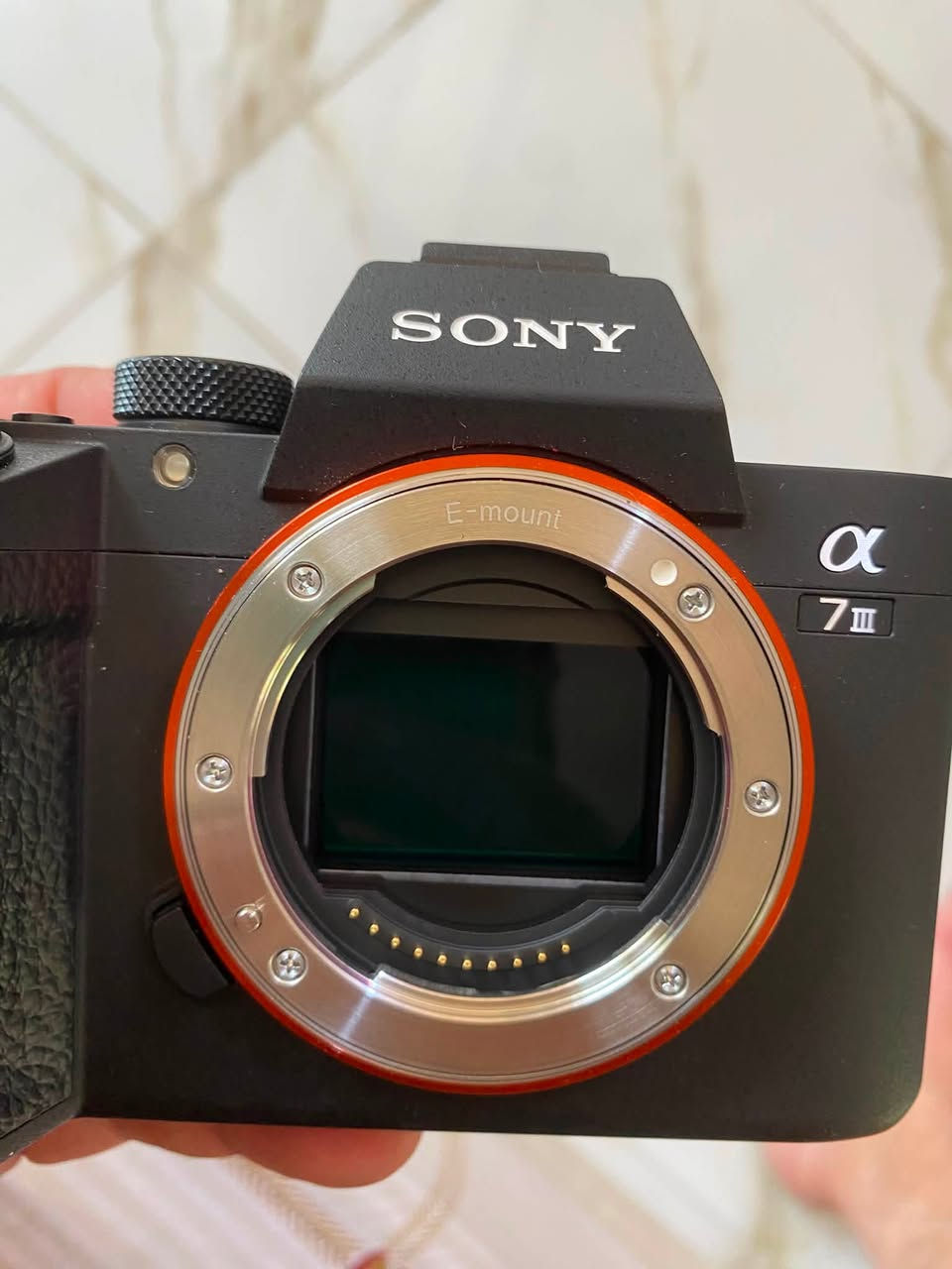 كاميرا SONY A7III للبيع
الكاميرا استخدام كلش قليل ونظافتها ٩٩٪؜ مابيها ولا شخط✅
 
وياها عدسة SONY 50mm وكل ملحقاتها كاملة✅

 كارتونة الكاميرا وكارتونة العدسة هم موجودة 
وجنطة كتف وياها ✅

الشتر مالتها 2,507 ✅

سعرها مليون و 600 قفل ✅❌

متواجد ماسنجر وواتساب ***********
