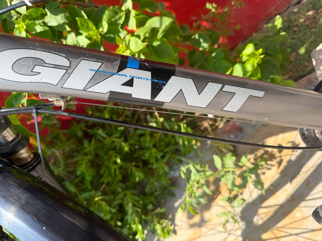 پاسکل ماڕکەی giant 
لاشە ئەلەمنیۆم قیاس 28
سێ گێڕی لە پێشەوە ماڕکەی shimano Alivio
هەشت گێڕ لە دواوە ماڕکەی shimano deore
پاشکۆی دواوەی بیلادیە ماڕکەی giantە
ئیستۆپی  هایدرۆلیک ماڕکەی Magura 
ئیستۆپی دواوەی گۆڕدراوە جۆری سیمی لەسەرە
ژ.م ***********
واتسئەپ ڤایبەر
