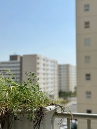 بسماية السكني • ١٢٠م • مؤثثة بالكامل