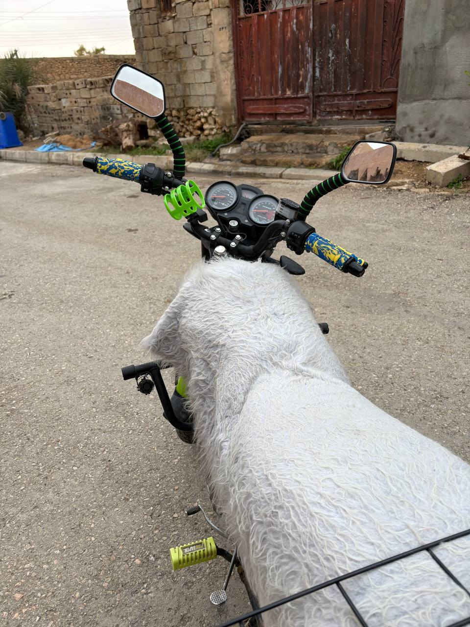 سلام عليكم 
شينك للبيع بعده جديد مابي اي نقص كامل 
نعومه حيل حلوه ومحركه فول 
السعر 900
عنوان رأوه 
الاستفسار ***********
