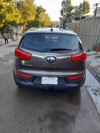 سبورتاج • ٢٠١٤ • وارد أمريكي