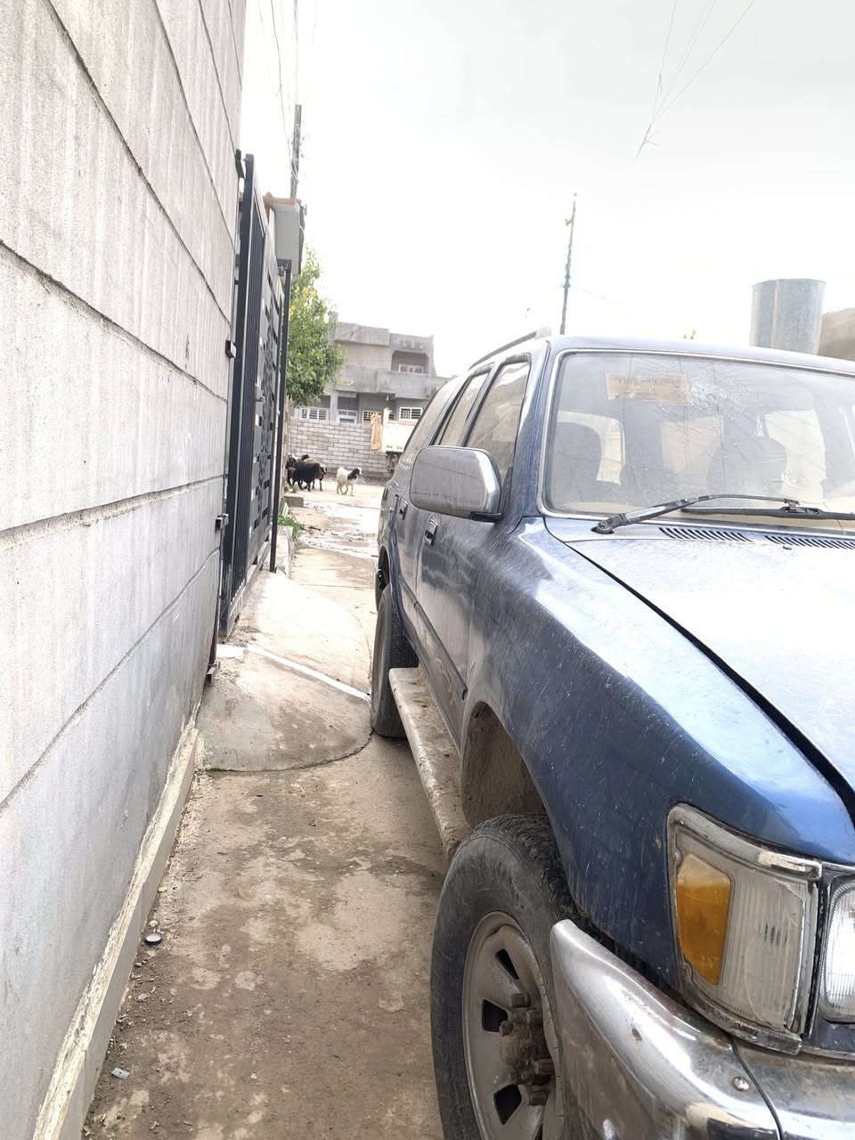 سلام عليكم مر خصت الادمنيه  سياره نوع جب تيوته للبيع  اخوان. السياره شوفت عينكم.  گير ومحرك بطه الكير يعوزو تنضيف فلاتر. لان مره ينطي نمره صحيح نوبه لا. امه المحرك شرط يعوزه دبلات خلفي. امه صدره كلشي ما بيه.  كهربائيات شغاله   
السياره بيه بس واجها مكفوله حكومه وعشائر 

السعر 35 وبيه مجال. 

الي يعوزهن كلتهن الك مو من تجيني. هاا مدري شنو حته ما تعبني ولا اتعبك  

اتصل وحياك الله ***********
