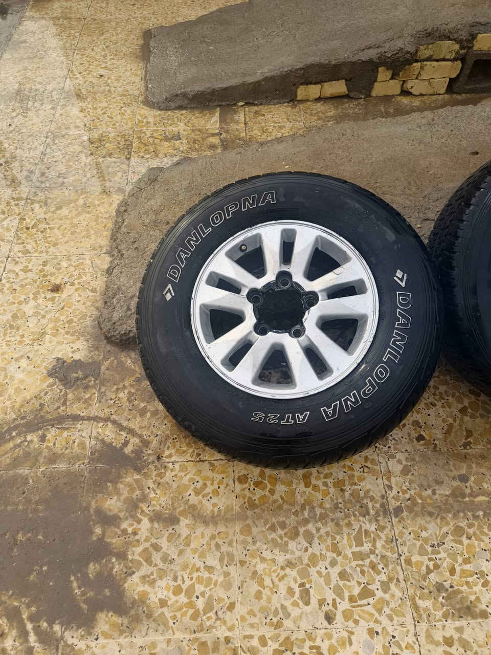 السلام عليكم
ويل كب مال مونيكه 
ليلى علوي خمسه برغي
ويل كب +تاير نضيفات 
نضافتهن ٩٠/١٠٠
تخم كامل 
مكاني بغداد حي البتول
هاتف ***********
