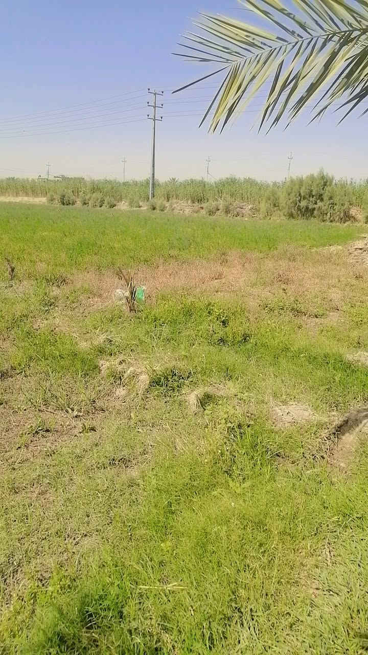 ٠سلام عليكم ورحمة الله دونم ونص  لبيع بابل جبله فراع مصلخ ثاني قطعه مقابيل حي جواد  عن مشروع٨٠٠ متر يعني ٥دقايق بسوك ماء نهر ١٥ متر عن خزان سكي ١٠ متره عن رساله  ٣٠ متر عنه كهرباء ٤٠ متر عنه مولد حي ١٠٠ عن كافات الخدمات لاستفسار *********** و*********** و ***********
