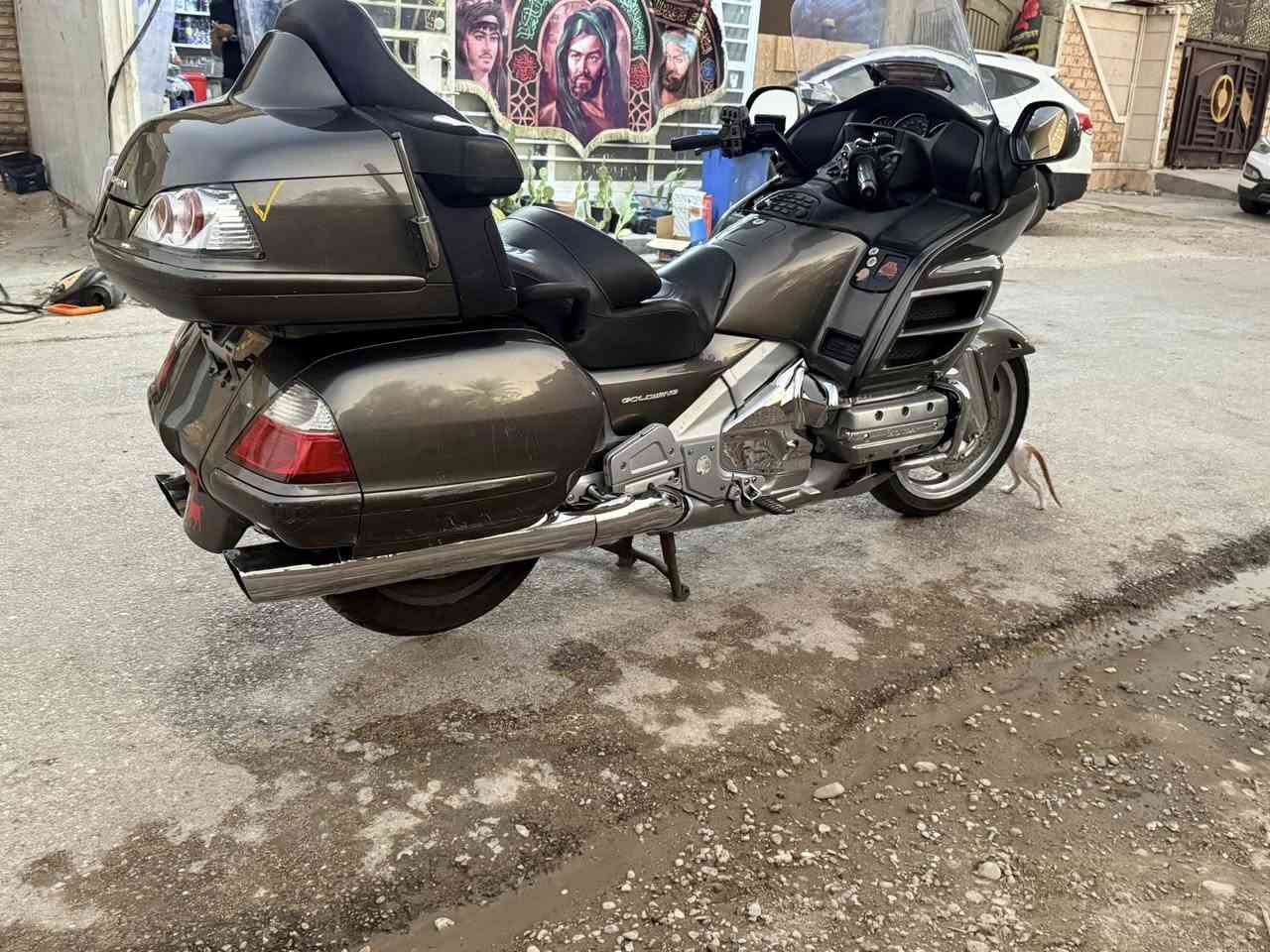 ٢٠٠٩ دخول جديد ***********
