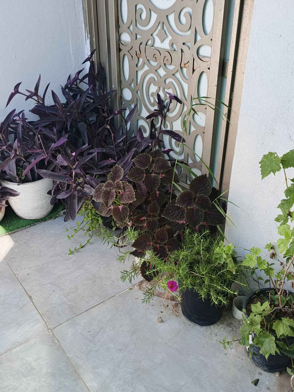 للبيع مع ٤ سنادبن كبيره ب٥٠


**إذا كنت صاحب هذا الإعلان وتريد حذفه لأي سبب، رجاءا أرسل رسالة إلى الدعم الفني**