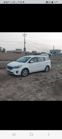 اللبيع او مراوس حسب القناعه٠٧٨٢٤٩٦٩٢٣٥