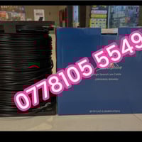 💥🔥 𝐁𝐥𝐮𝐞 𝐃𝐨𝐥𝐩𝐡𝐢𝐧 – أقـــــــــــــــوَى أنــــــــــواع البــــــــــــ...