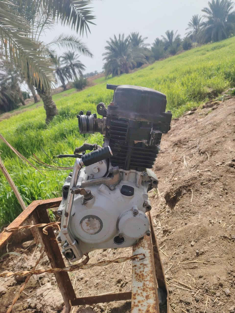 سلام عليكم دراجه بوكسر محور ام تيار وياهة محركه الابلاد دراجه نضيفه مانقصه بس دشبول سرعه ومعدل خير من الله محركه مبدل دهن مره وحده سعره مليون وبيه مجال (العماره)


**إذا كنت صاحب هذا الإعلان وتريد حذفه لأي سبب، رجاءا أرسل رسالة إلى الدعم الفني**