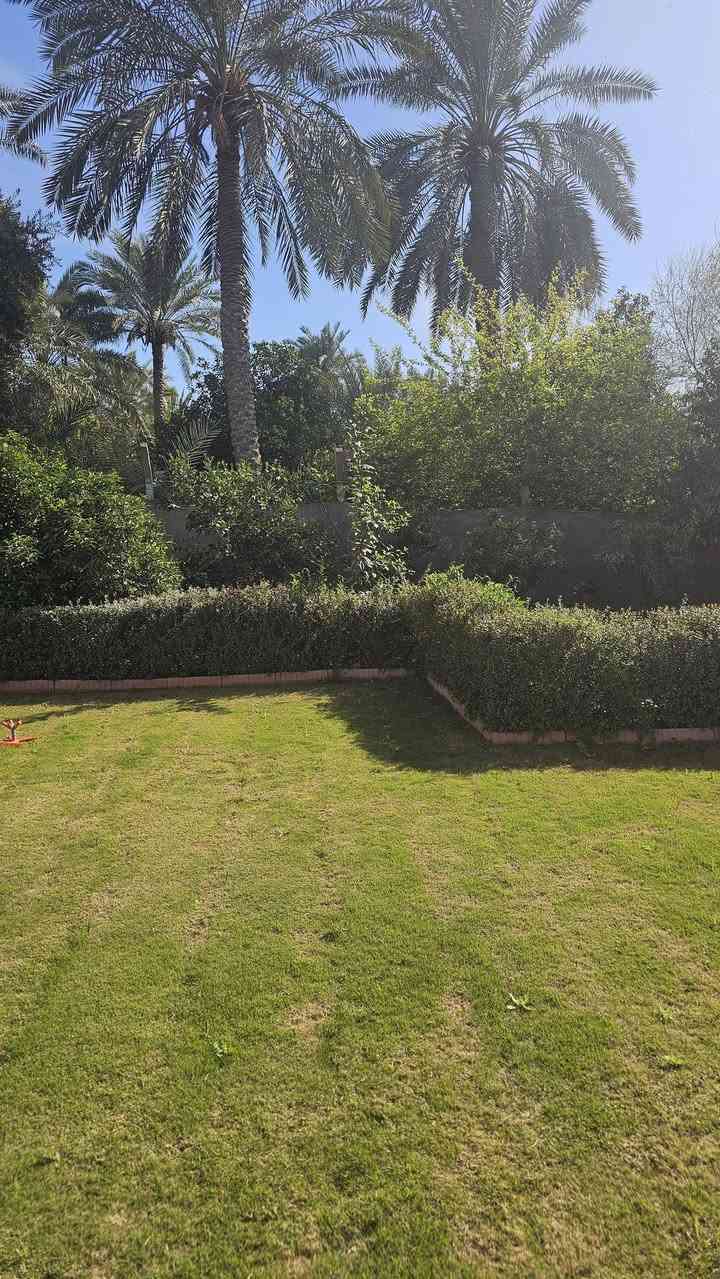 السلام عليكم 🇮🇶للبيع دونم ونصف واقع حال دونمين ونصف طابو زراعي سند مستقل تحويل مباشر باسم المشتري في بغداد الراشديه البوحيات قرب مدرسه الواحه الخضراء تحتوي على بيت كبير خمس غرف نوم سويتين صحيات حديقه كراج بوردات صحيات خارجيه حديقه اماميه وخلفيه حقل لتربية الماشيه او الدجاج او الطيور تبعد عن ضفاف نهر دجله ميتين متر اطل على الشارع الرئيسي الرابط بين جزيرو بغداد وناحية الراشديه تبعد عن جسر المثنى ربع ساعه وعن ناحية الراشديه خمس دقايق للاستفسار الاتصال على الارقام الاتيه الليث الحياني للعقار (***********)(***********)
