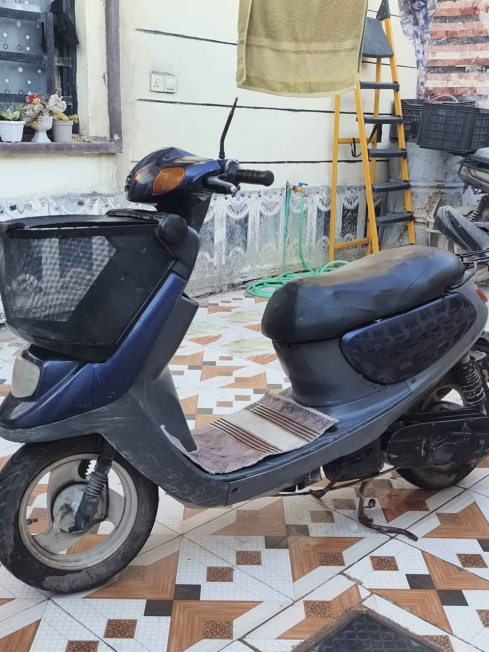 السلام عليكم
دراجة منغولي للبيع

صوتها ناعم مابي كل خشونة

نقصها سلف وباتري لايت امامي شغال كشن وسلة جدد قفل استيرن ابريك هورن

السعر 275 ألف وبيها مجال

***********
