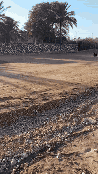 تنفيذ كافة الأعمال المساحيه وكافة المخططات
أحدى أعمالنا المساحية يوم الإثنين.
تسقيط. بناية مدرسة بمساحة.. 1600متر
تسقيط خريطة. مزرعة بمساحة ٢١٥ متر
تنفيذ كافة الأعمال المدنيه والمساحیه
بدقة عالية
المساح عماد الجبوري *********** واتساب
