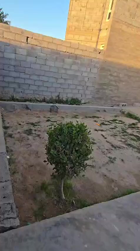 بيت للبيع الموقع عامرية الصمود منطقة حي الشهيد في ال 4000 مقابيل ال 8000
المساحه 250 
البيت كامل وجاهز مثل مموضح بل فديو 
السعر 65 وبي مجال بسيط 
للااستفسار 🔵 ***********
🔵البيت ينباع نقد وينباع عل مصرف كلشي وسعره 🔵
