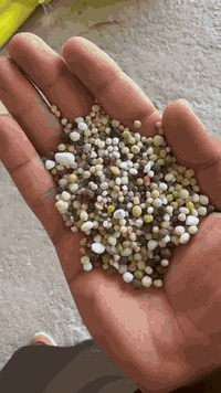 يتوفر لدي سماد خبط 9عناصر داب اردني مع داب كف مع يوريا ايراني مع متعادل روسي مع متعادل تركي مع داب خليج فارس مع هيومك اردني مع داب سعودي هاي الخبطه احسن من عنصر واحد هاي الخبطه تكفي دونم 50كيلو فقط موسم كامل ***********
