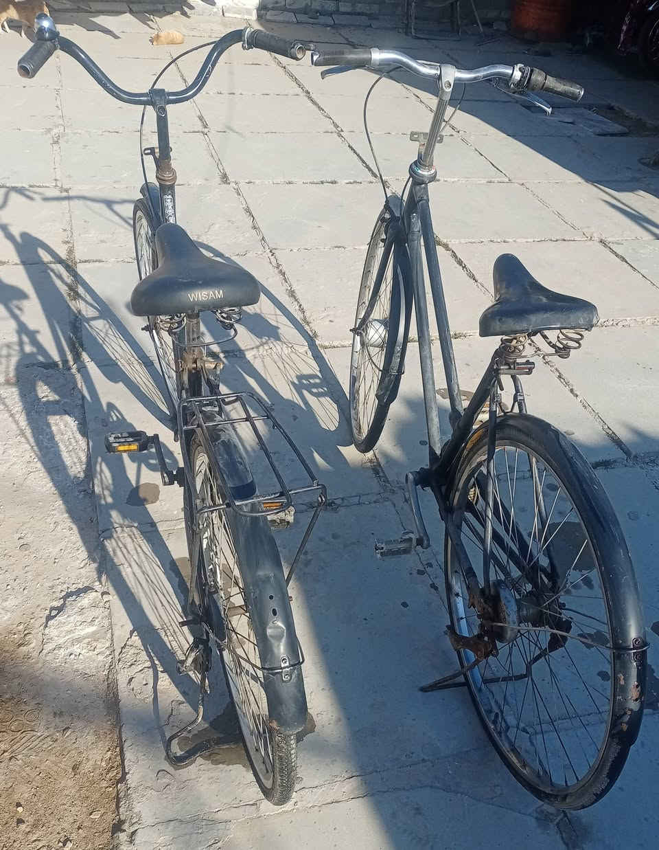 السلام عليكم
متوفر بايسكلين للبيع:
🚲 بايسكل بناتي سعر (40)
🚲 بايسكل أبو قايش سعر( 45) 🌿
📍 المكان: الشعب – قرب محكمة الشعب
📞 التواصل واتساب : ***********
