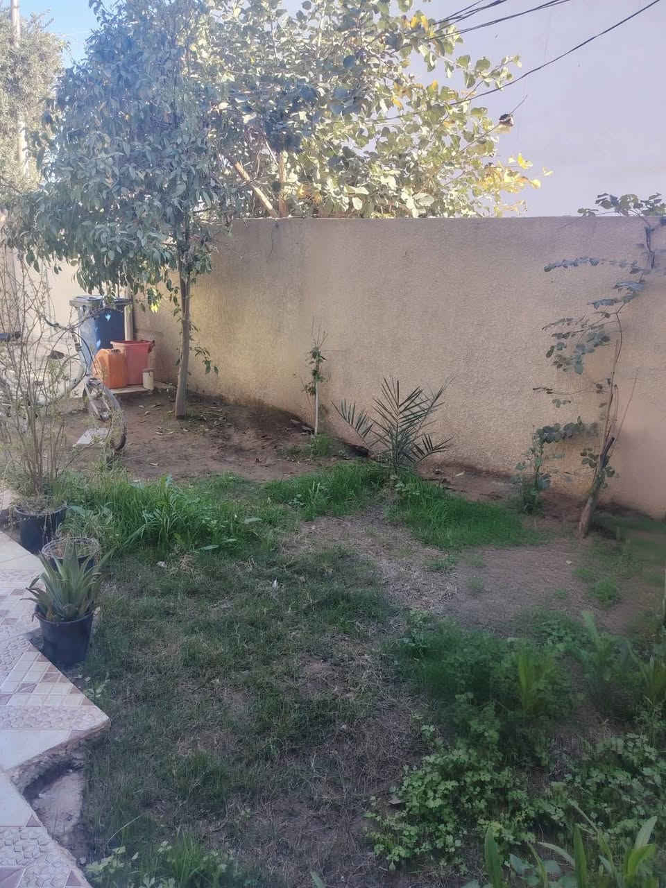 دار للبيع او مراوس بنص دونم او اكثر
٢٠٠متر طابو ملك صرف المساحة الكلية ٢٥٣ متر الواجهية ١١ متر.يتكون من (استقبال +هول+مطبخ+صالة كبيرة+غرفتين نوم+مجمع صحيات داخلية وخارجية) العنوان/خلف حي المعلمين قرب الشارع السايدين المنطقة الي خلف جامع الاخوة الاسلامية.(كافة الخدمات) او للمراوس ابمساحة اقل شي نص دونم  او ١٠٠٠ في ام العظام قرب الجامعة هيج اماكن غرب بعقوبة للاستفسار الاتصال بالرقم
 *********** يوجد واتساب
***********
