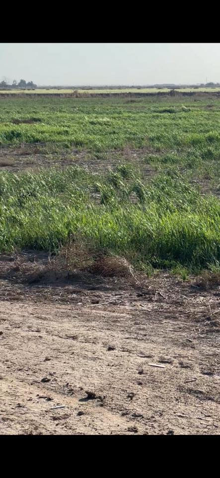 السلام عليكم چاير ضمان المساحه 100 دونم واسط صويره للاستفسار ***********
