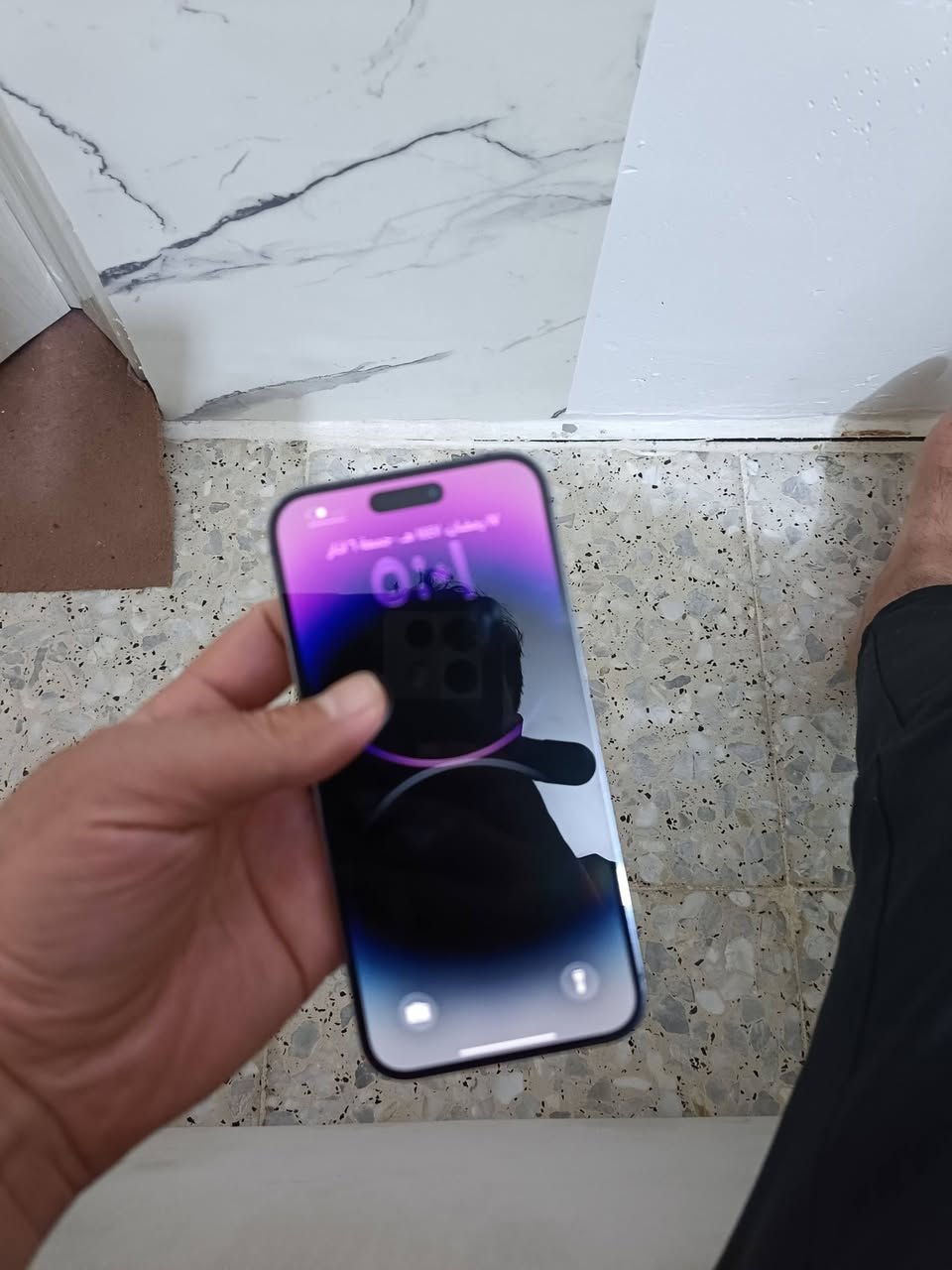 14 برو ماكس سعره 550 مبدله شاشه اصليه 3 خيارات شرق اوسط حرف m


**إذا كنت صاحب هذا الإعلان وتريد حذفه لأي سبب، رجاءا أرسل رسالة إلى الدعم الفني**