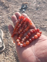 ساساني • نظارة