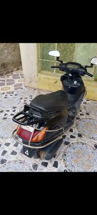 اسبيسي • ياباني • مكفولة