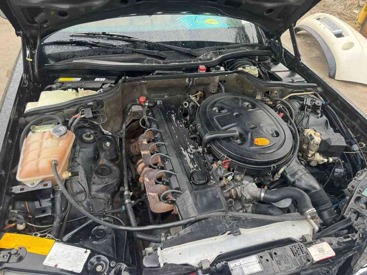 جابمو رئاسي حجم 300SE باب قصير
اللهم صلي على محمد وال محمد 
للبيع فقط!
جامبو رئاسي حجم 300SE
باب قصير لون اسود 
موديل1990
دبل مروحه 
دبل هورن
اريل كهرباء
سلايت طكتين
كير قفل 
كشنات فول كهرباء جلد حمصي
مسجل بلادي
دبل فيت بم 
ستيرن كهرباء
جام بوب4كهرباء
سبير شركه 
ماشيه90 الف
ماسحات لايت
محرك كير اكسل مكفولات
ادويه صيدليه وياها
كشنات الاماميه تدفئه
رقم بغداد(11)دولي سنويه جديده+هزه جديده
تلفون بلادي 
طفايه بلاد
دبل ايرباك
تبريد قطعتين
ارضيات مخمل بلاد 
سويج شركه 1
ملاحضه/ حجر البيئه موجود
للاستفسار ***********
للعلم السياره بالواقع احلا من ال صور
