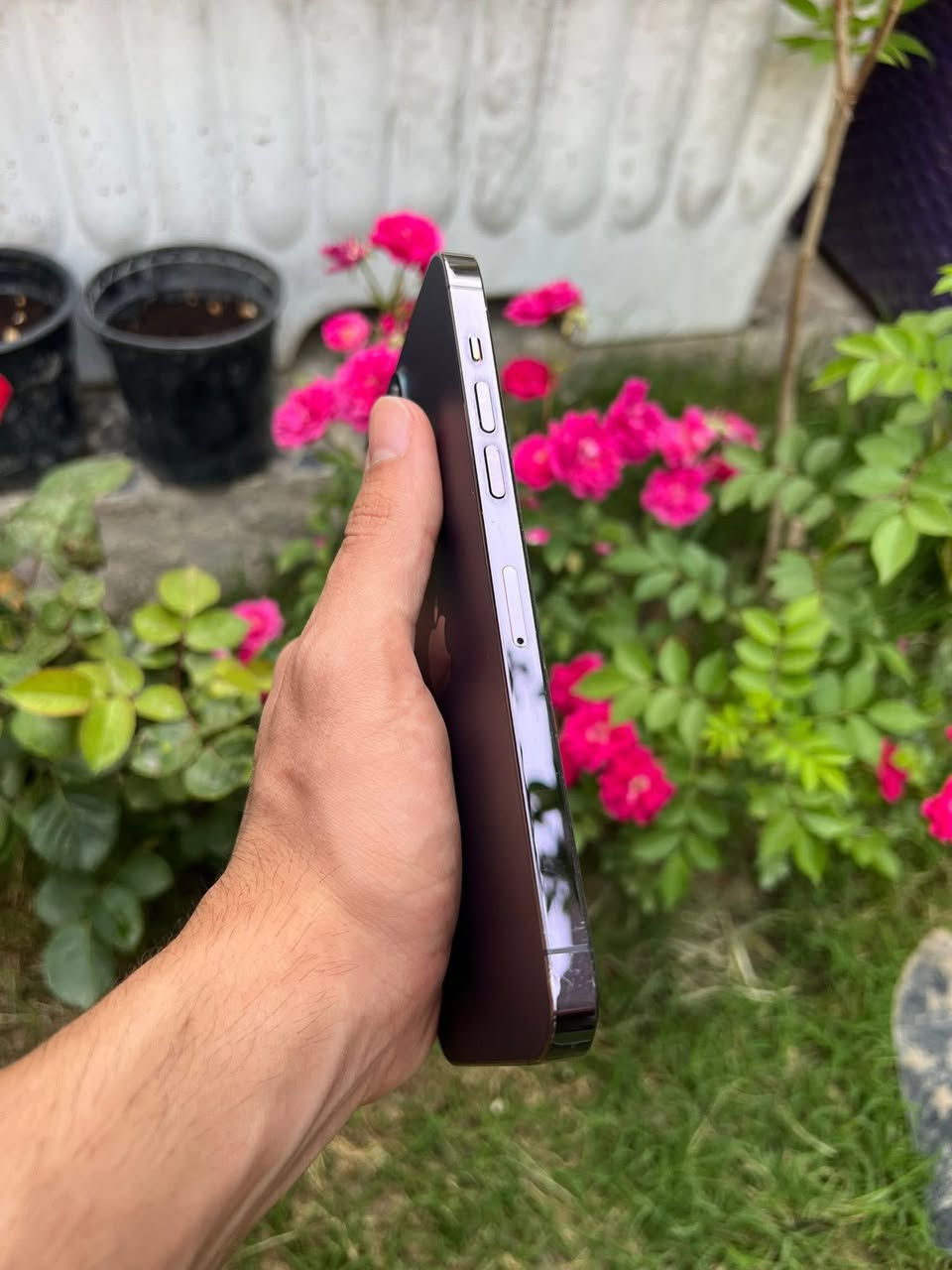 14 برو ماكس نضيف جداا ذاكره 256. بطاريه 92. ماا مرفوعه  وتر برو 900 الف


**إذا كنت صاحب هذا الإعلان وتريد حذفه لأي سبب، رجاءا أرسل رسالة إلى الدعم الفني**