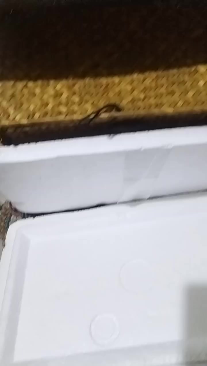 تحفه فنيه بهذا شكل ١٥ الف


**إذا كنت صاحب هذا الإعلان وتريد حذفه لأي سبب، رجاءا أرسل رسالة إلى الدعم الفني**