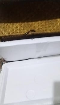 تحفة فنية • ديكور منزلي • قطعة فنية