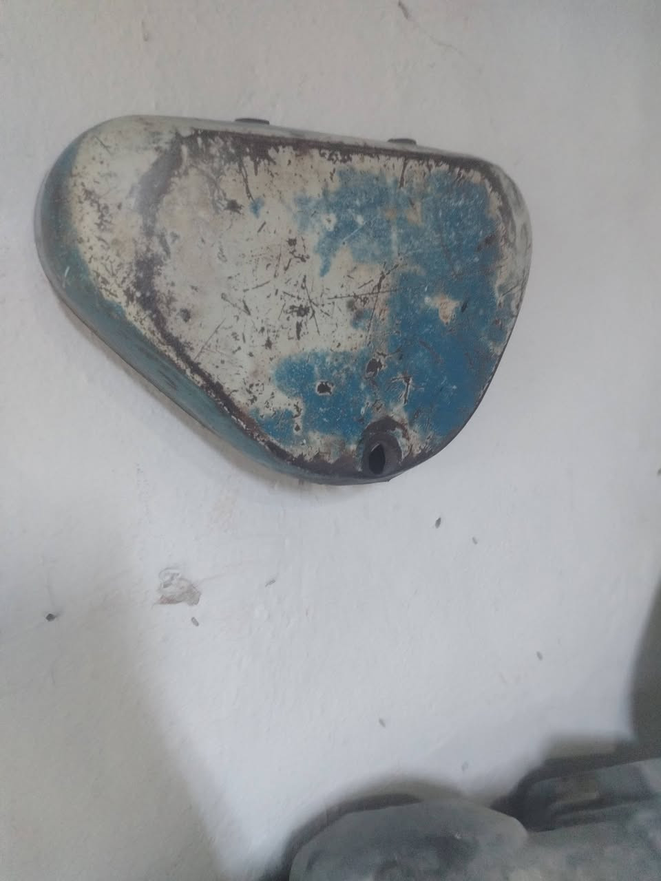 كشر بلادي للبيع *********** نجف ابوصخير توصيل ماعندي
