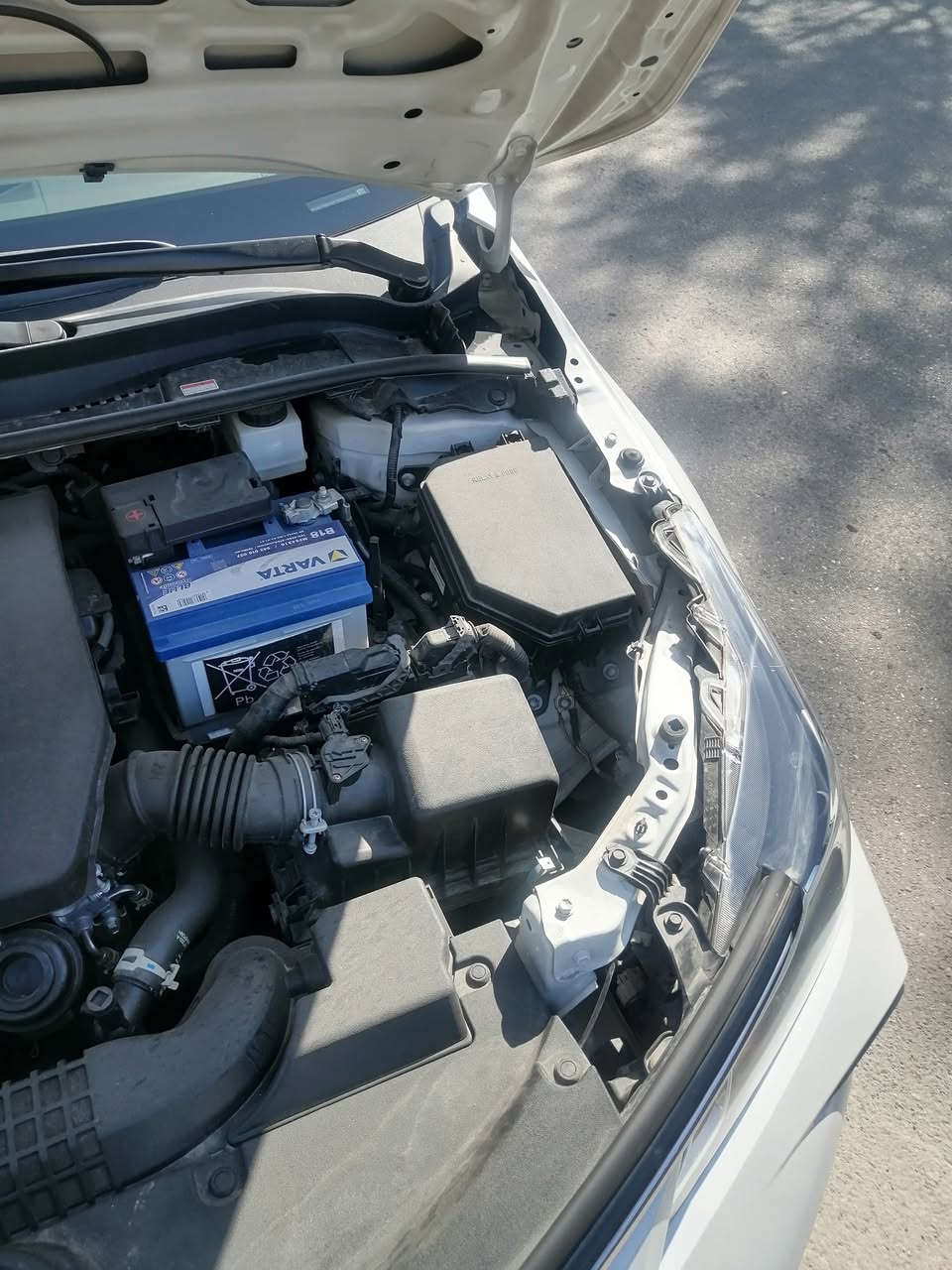 سلام عليكم كورلا خليجي رقم أربيل موديل 2024 مكفوله من الصبغ والشخوط فقط بارد بل داير جاملغ الخلفي فقط والباقي سياره مكفولة من كلشي ماشيه 25 سياره بشرط ما مفتوح برغي بالسياره من الدعاميه ال الدعامية السعر 182 وبيها مجال بسيط رقم تلفون ***********
