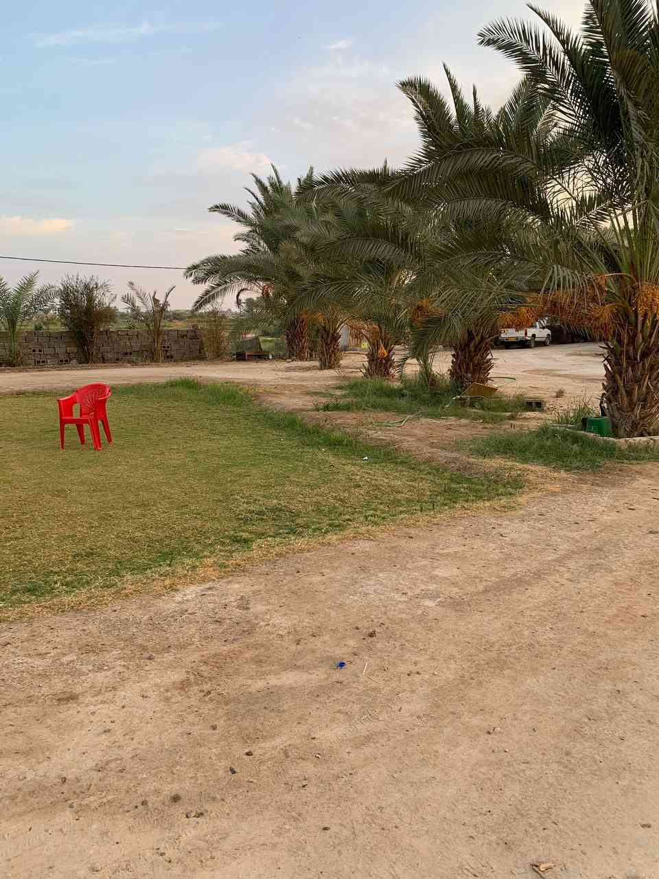 سلام عليكم
بيت للبيع مساحة لارض 3دونم مساحة البيت 1000متر
مع بستان يتكون من 120شرة برتقال 30 رمان و10ليمون 
و10 نخلات و10تفاح
يتكون من 4غرف 5×5
استقبال 8×5
صاله 16×4,5
مطبخ داخلي ومطبخ خارجي 
ومخزن خارجي 
كامل كله مابي اي نقص
سعر 125مليون بي مجال 
***********
