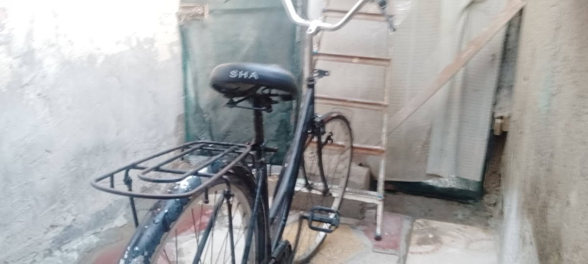 باسكل للبيع سعر 50الف متواجد خاص


**إذا كنت صاحب هذا الإعلان وتريد حذفه لأي سبب، رجاءا أرسل رسالة إلى الدعم الفني**