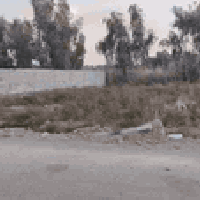 بغداد الراشدية • ٥٠٠م • طابو زراعي