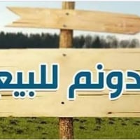 دونم طابو زراعي • الكوفة شارع السياحي • شارع ١٠م