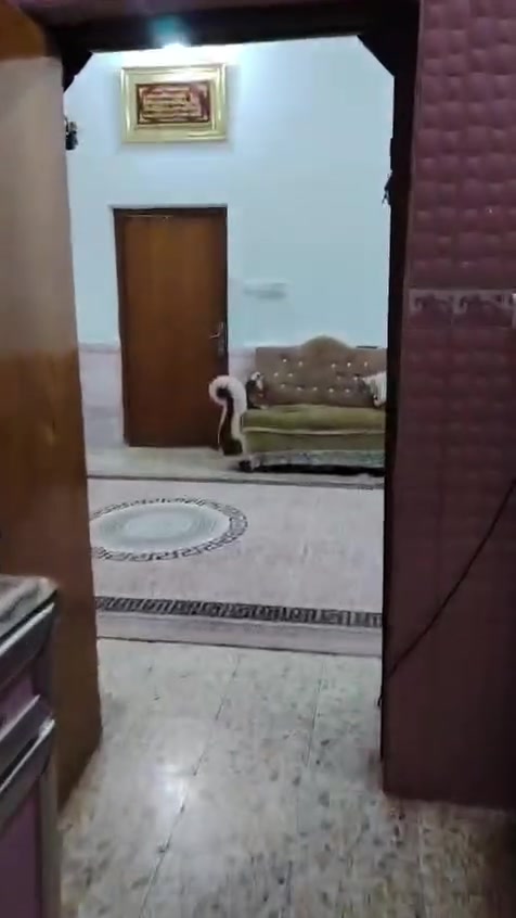 بيت مساحته ١٢٠ صاله مفتوحه بيه مطبخ ديوانيه غرفتين وحده فوك وحده جوه  كاملات
وثالثه مخزن  جينكو  ابو رمانه بضهر المركز  للتواصل ***********او  ادخل خاص
