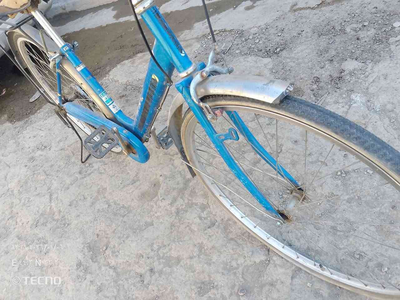 سلام عليكم....  بايسكل بلادي...  رايده ↘️♦♦♦♦65 الف وبي مجال ----/ عنواني شرطه الخامسه شارع اامدارس قرب سوك  المسكف ♥♥👑👑👑 ***********
او على خاص 
🌿🌿
