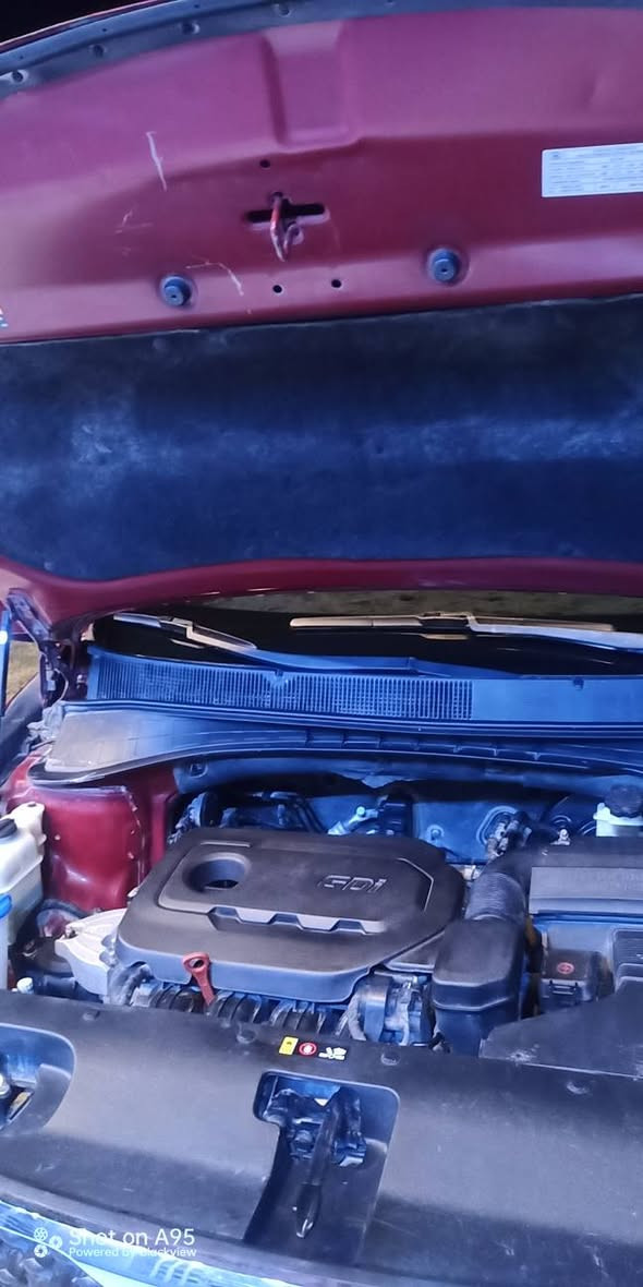 سلام عليكم سيرنتو موديل 19 اضرر الباب المامي فقد سعر 155 وشراي يدلل المكان واسط ***********🚘
