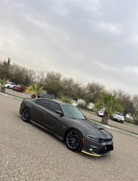 تشارجر سكات باك • ٢٠٢٠ • بدون صبغ