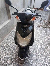 سكنس فحل • ياباني • مكفولة