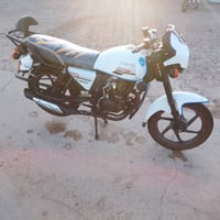 دايوان • ٢٢ • اوراق اصوليه