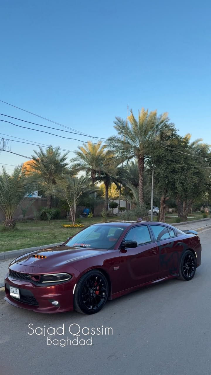 السلام عليكم ورحمه اللّٰه وبركاته
‏Dodge Charger. Super Track pack 2019
دودج جارجر سكات سوبر تراك باك ٢٠١٩
رقم بغداد حرة بسمي السياره
#حادث السياره جاملغ وبنيد فقط جهت الصدر معمرات نفسهن الجاملغ صبغ والبنيد صبغ واكو مباوك كلير بال باب مال صدر ايرباك دركه ودشبول
كامرة دوارة
نظام سوبر تراك باك
نظام سبورت
• نظام خرائط GPS +الشاشة نظام كار بلي + اندرويد اوتو
شفتات ستيرن
مري عاكسة
شاشة كبيرة
تشغيل عن بعد كشنات حضن
دخول ذكي
نظام صوت الباين
ا وباقي المواصفات
#الاظافات
• ويل دايتونا ٢٠ اصلي
بوليبوربرنك ريسنك
بلكات ونوزلات وولف حماوة ريسنك
كرون شفتات كاربون
حزام امان برتقالي
فلنجان مشيف
فجوج بريك برنبو
كاج كان بلت الاصلي
دبات اسود srt اكس بايب وداون بايب فيول بم ومساعد رينسك
اويل بالت
اويل برثر
شوته kn ستيج 3 
هدرز
سترس بار
بوابات صوت

اضافه كامله دواخل مكينه
السيارة مداخلة اي استعراضات وسباقات استخدام شخصي فقط © تحديثات فول للاخير
تحكم صوت وعزم
_ سياره برمجه سيفتي كامل واجايبه رقم حلوع دايتو _ تحديثات كير. مكينة. Abs .
_برمجة ثيمات وإضافة اوبشنات
ماشية 49 قابل للزيادة
 يتصل وبخدمته
• السيارة جديدة ونظيفة جدا جدا وعليهة ادامة مستمرة ومتعوب عليهة هواي كلشي مناقصه
والله يرزق الجميع الي احسن واحلة منهة
#اعتذر للاطالة
مكاني بغداد *********** موجود واتساب
