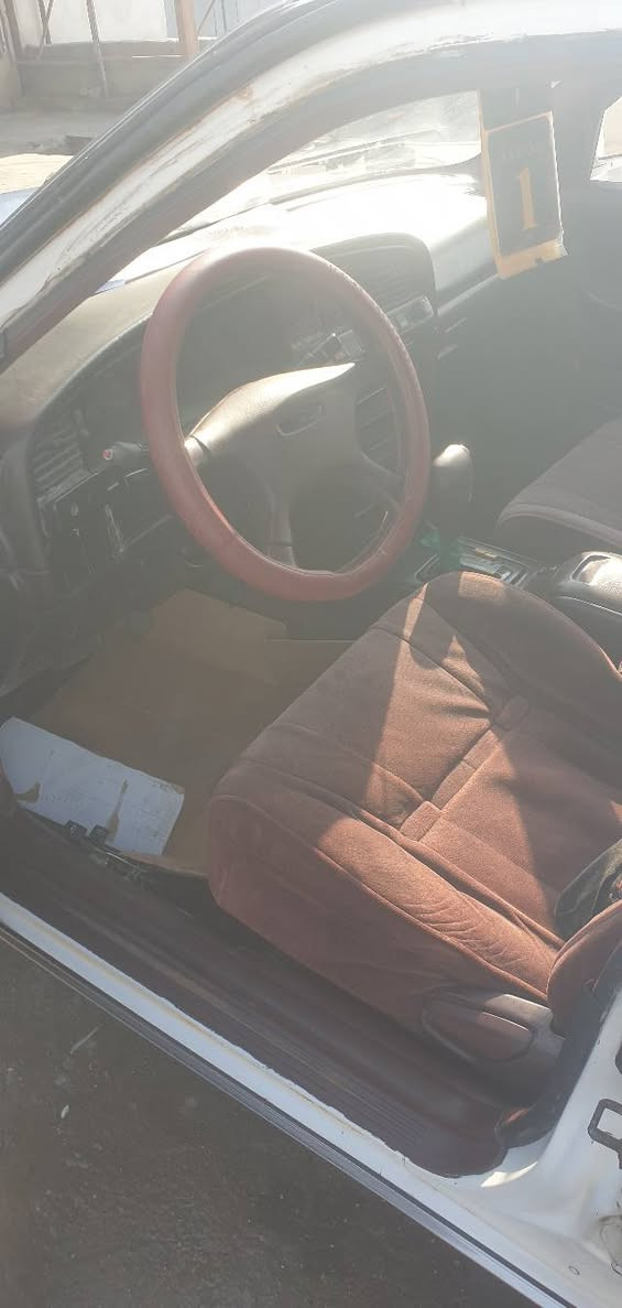 سلام عليكم سياره كرسته كصيف سياره كفاله من نقل جثه ومن ضربه بس بيها جمالق خلفي مثل ما وضح بل فيديو
مكينه وكير شرط وين ما تريد تفحص افحص حداده ٧٥ بل ميه سياره بسم ابن خالتي تحويل ثاني يوم سعر ٦٠ وبيها مجال عنوني البصره خور زبير نتصل وبيك خير ودلل 
***********
