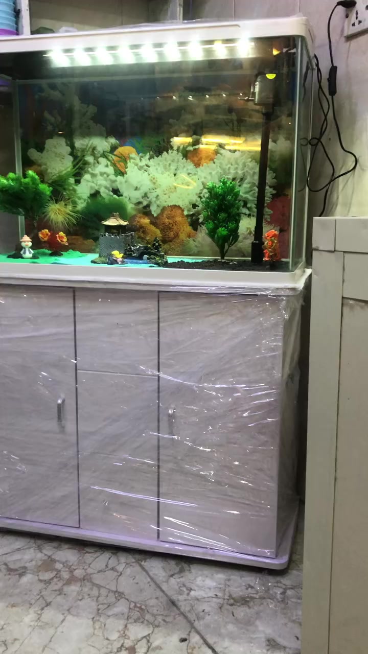 ملك الفايتر #
حوض اسماك عرض  80 سم

ارتفاع هو والميز  ١١٥ سم الحوض ارتفاع ٥٠

السعر  ٢٠٠ مع زوج سمك انت تختار 

المكان الحمحمودية مجمع الزهراء


**إذا كنت صاحب هذا الإعلان وتريد حذفه لأي سبب، رجاءا أرسل رسالة إلى الدعم الفني**