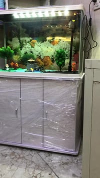 حوض اسماك • عرض ٨٠سم • ارتفاع ٥٠سم