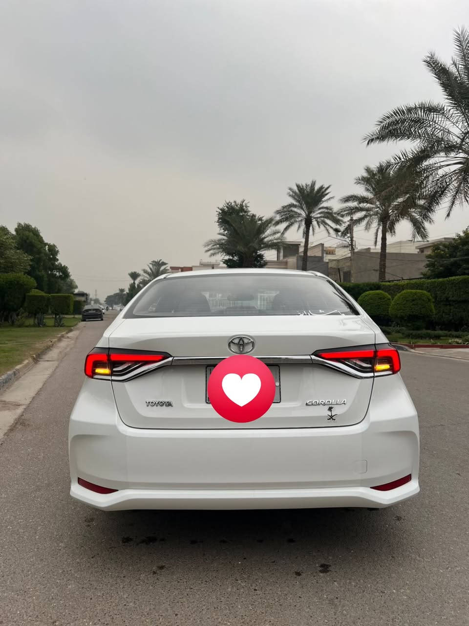 السلام عليكم
كورلا 2024 هايبرد
ماشيه 33 الف
فول مواصفات ماعده كرسي كهرباء
فتحه سقف
السياره كفاله عامه ما عدا اربع اصابع بالهلال الخلفي و  رصعه بل باب السايق صغيره 
السعر 
148  وبيه مجال بسيط
العنوان بغداد الكرخ
***********
