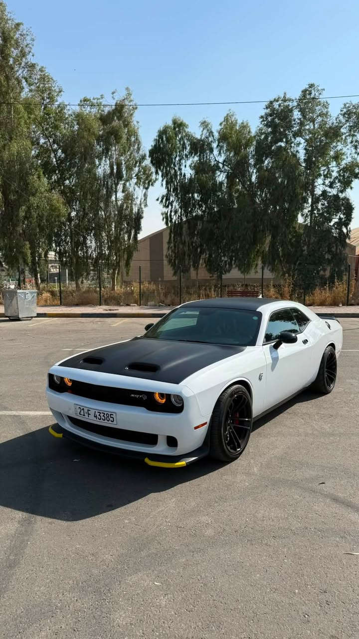 دودج جالنجر هيلكات جيلبريك (Jailbreak)
717HP

من أنظف وأجمل سيارات العراق، وسيارة استخدام شخصي وعلى إيدي من أول ما وصلت.

مواصفات السيارة:

* ماشية فقط 9,000 Mile.
* داخلة العراق Clean Title.
* صبغ أمريكي فقط:
    * جاملغ خلفي.
    * باب.
* الإيرباك بشرط.
* بجم كبس .   
الحوض كبس.
* بدون أي برغي نقص.
* السيارة بالكامل وضع وكالة:
    * المكينة وكالة.
    * السوبر وكالة.
    * الحجرات وكالة.
    * وكل أجزاء السيارة أصلية وما بيها أي لعب أو تعديل.

السيارة مداريها من كلشي، ونظافتها تبيض الوجه، واللي يعرف سيارات الهيلكات راح يميزها من أول نظرة.

السعر: 36,500 دولار (ورقة فقط).

والله العظيم خواتها بالسوق توصل إلى 5 شدات وما يوصلن لهالنظافة.

سبب البيع: فاتح مشروع جديد، والرزق أهم.
الله يرزقني ويرزق الجميع، وبالعافية على اللي تكون من نصيبه.

للتواصل:
📞 ***********
