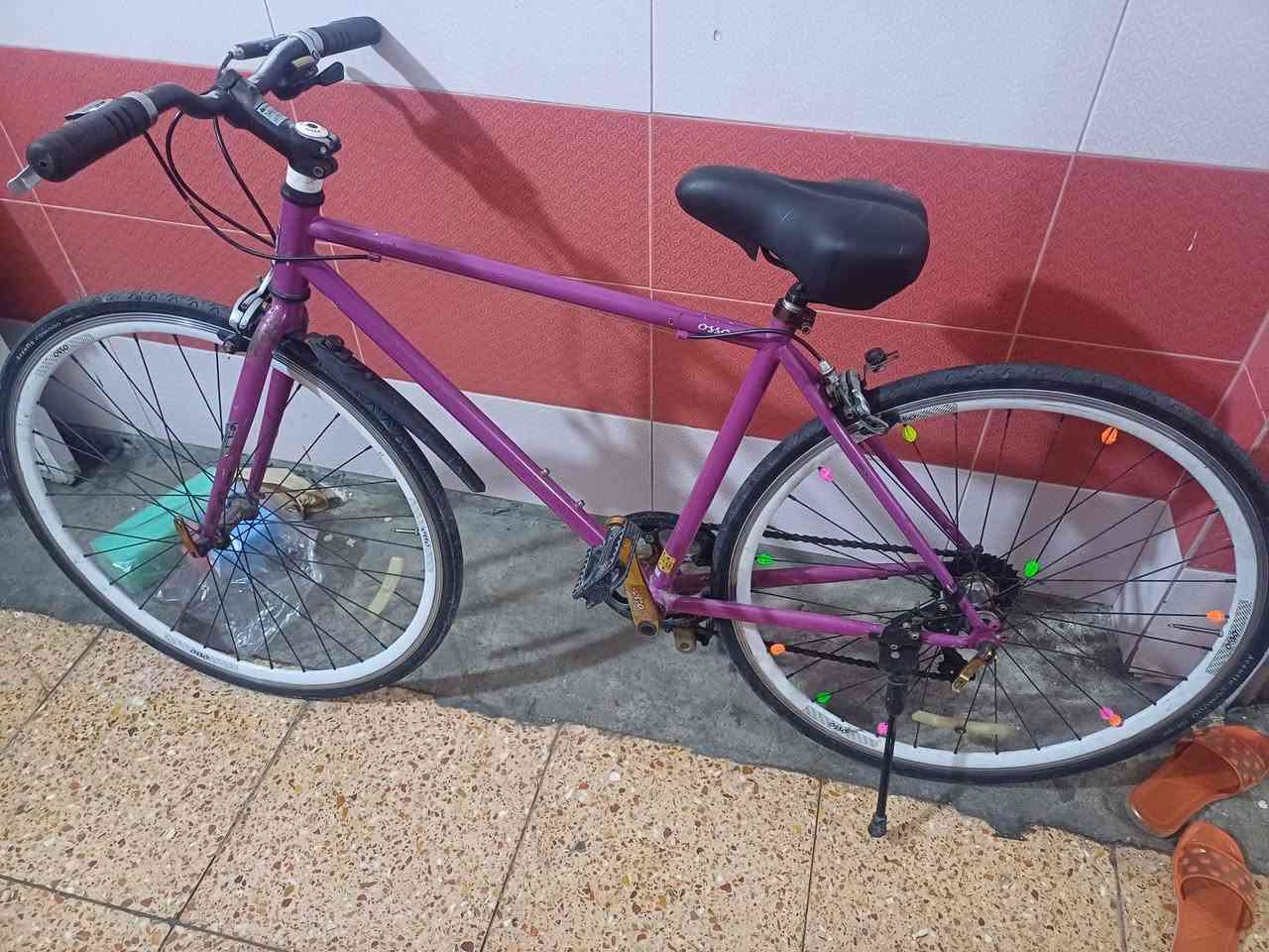 ياباني ٧٥ حجم ٢٦ مكان شارع فلسطين


**إذا كنت صاحب هذا الإعلان وتريد حذفه لأي سبب، رجاءا أرسل رسالة إلى الدعم الفني**